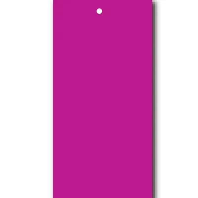 Étiquettes à trou papier cartonné pour pistolet textile 50 x 100 mm, Violet - Lot de 250 - Étiquettes à trou