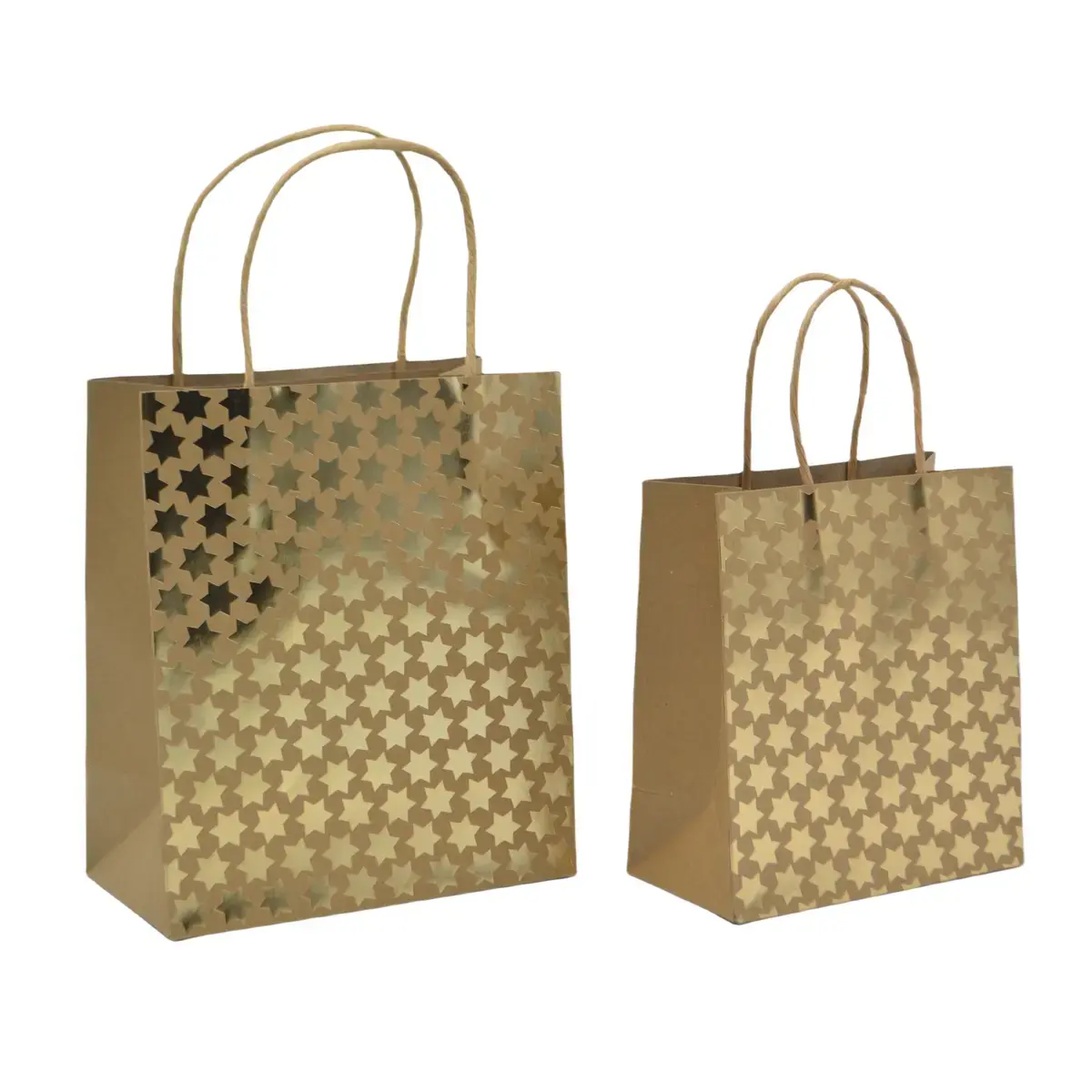 Sac cadeau kraft à pois dorés poignées torsadées 18 x 10 x 21 cm – Paquet de 20 - Sacs kraft à motifs-4