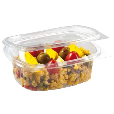 Barquette avec couvercle charnière 250 ml 13,5 x 10,5 x 4,5 cm - Barquette plastique - Lot de 50 - Barquettes plastique
