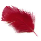 Plume rouge artificielle L 10 cm - Plumes décoratives - Sachet de 30g - Décors Vitrine St Valentin