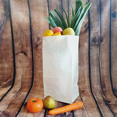 Sac SOS kraft blanc 20 x 16 x 40 cm 70 g/m² – Sac kraft sans poignée - Lot de 500 - Sacs SOS-2