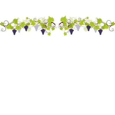Vitrophanie électrostatique Vigne et Raisin - Déco cavistes Foire aux Vins-2