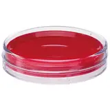 Encre pour tampon ø 84 x 25 mm Deli - Rouge - Tampons encreurs, Encres pour tampons