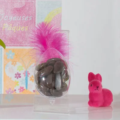 Oeuf de Pâques transparent à garnir H 6 cm - Contenant dragées - Paquet de 10 - Boîtes dragées, Boîtes bonbons-2