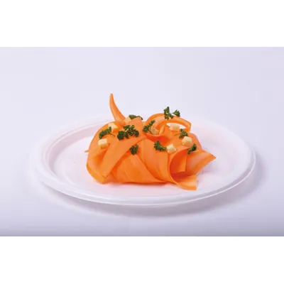 Assiette plastique réutilisable ø 22 cm - Assiette plate réutilisable - Blanc - Lot de 25 - Assiettes jetables, Assiettes plastique réutilisables-2