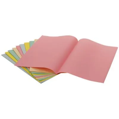 Sous-chemise A4 60g 22 x 31 cm Exacompta - coloris assortis pastel - Lot de 250 - Chemises à élastique, Chemises dossier