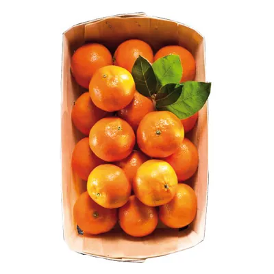 Caissette primeur 500ml 18,5 x 11,5 x 5,5 cm - Barquette bois - Lot de 200 - Barquettes bois, Cagettes bois, Paniers bois