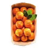 Caissette primeur 500ml 18,5 x 11,5 x 5,5 cm - Barquette bois - Lot de 200 - Barquettes bois, Cagettes bois, Paniers bois
