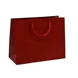 Sac pelliculé rouge framboise poignées cordelette 22,9 x 9,8 x 17,8 cm 157g – Paquet de 20 - Sacs pelliculés poignées cordelette