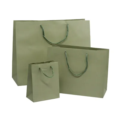 Sacs pelliculés à l'italienne vert tilleul mat - Grand Modèle - Sacs pelliculés poignées cordelette-2