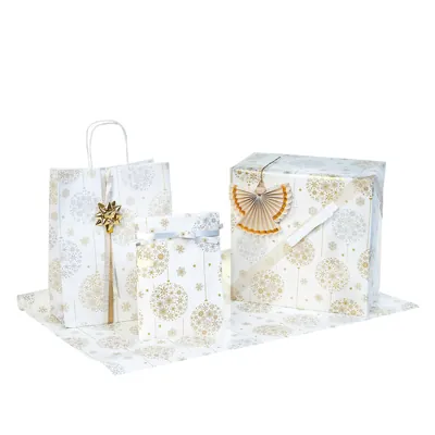 Papier cadeau Céleste - Papier cadeaux couchés à motifs-3