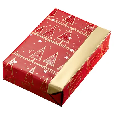 Papier cadeau Alpach - Papier cadeaux couchés à motifs-3