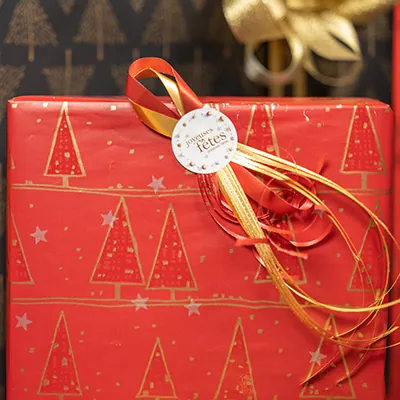 Papier cadeau Alpach - Papier cadeaux couchés à motifs-4