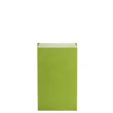 Pochette cadeau kraft vergé vert anis 12 x 4,5 x 21 cm - Sachet kraft - Lot de 250 - Pochettes cadeaux unies