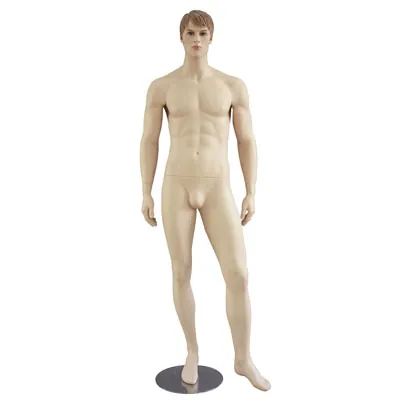 Mannequin homme, cheveux sculptés châtain claire - Mannequins hommes