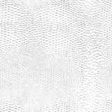 Papier cadeau texturé Lézard - Papiers cadeaux à effets