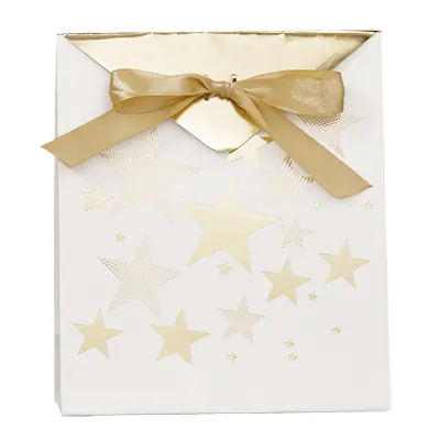 Pochettes cadeaux Étoiles - blanc / or - moyen modèle - Pochettes cadeaux luxe-2