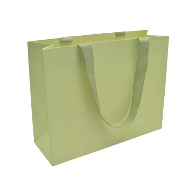 Sacs pelliculés unis vert pastel à poignées ruban – 32 x 11 x 25 cm – Paquet de 10 - Sacs pelliculés unis, poignées ruban