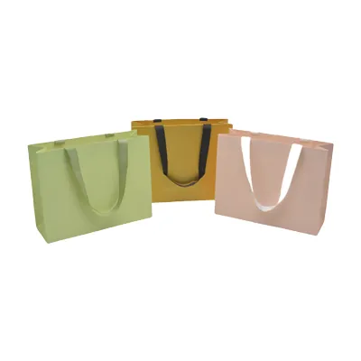 Sacs pelliculés unis vert pastel à poignées ruban – 32 x 11 x 25 cm – Paquet de 10 - Sacs pelliculés unis, poignées ruban-2