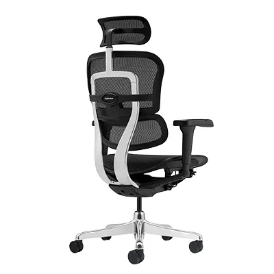 Siège de bureau ergonomique synchrone Ergohuman Ultra translation 12 zones - Noir - Sièges de bureaux-3