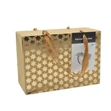 Boîte cadeau carton à poignées et étoiles or 23x11x16 cm - Valisette carton – Lot de 10 - Boites carton avec poignée