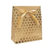 Pochette cadeau papier kraft brun à étoiles or avec rabat et ruban satiné 18x8x21cm – Paquet de 20