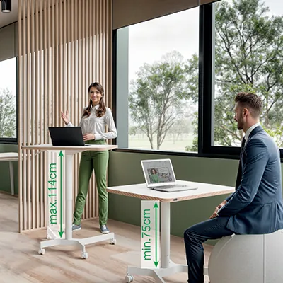 Bureau de coworking assis-debout manuel Leitz Ergo blanc 80×60 cm + H 75–114 cm - Bureaux, Tables de travail-4