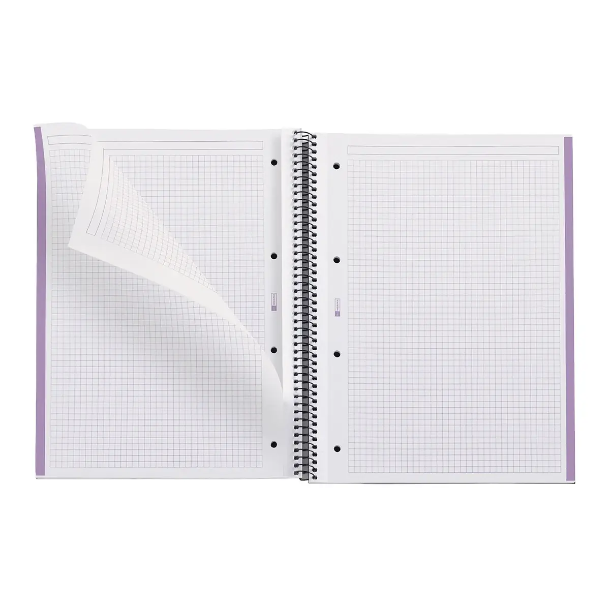 Bloc note A4 Eco Emotions Lavande - Quadrillé 5x5 - 80 feuilles - Blocs notes, Cahiers-2
