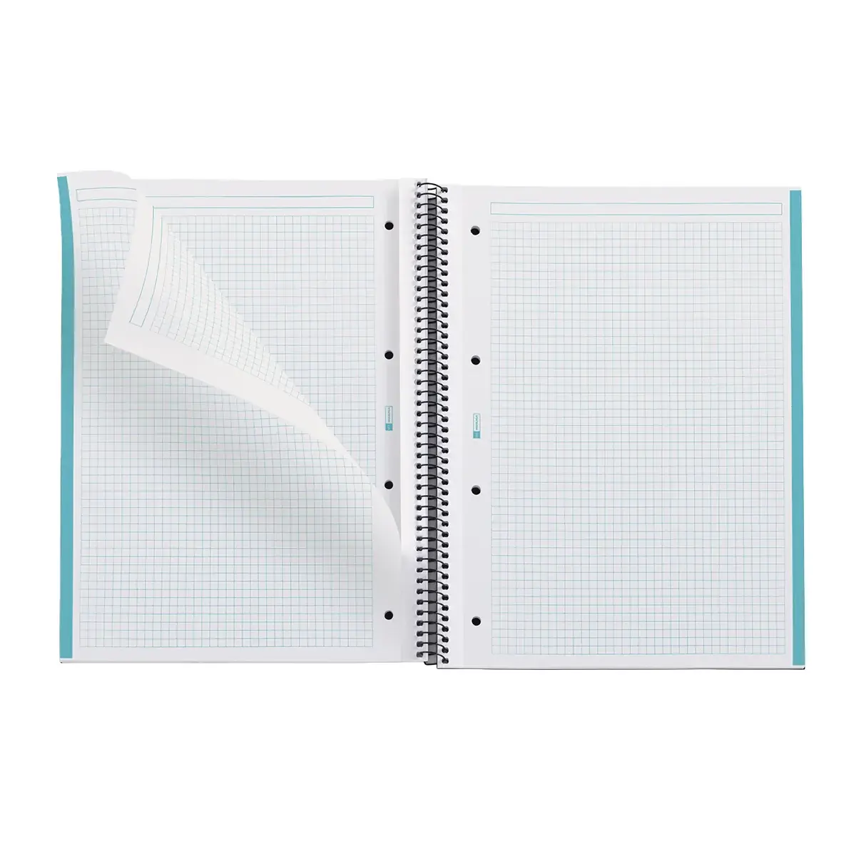 Bloc note Notebook A4 Eco Emotion 80F Quadrillé 5x5 - Bleu - Blocs notes, Cahiers-2