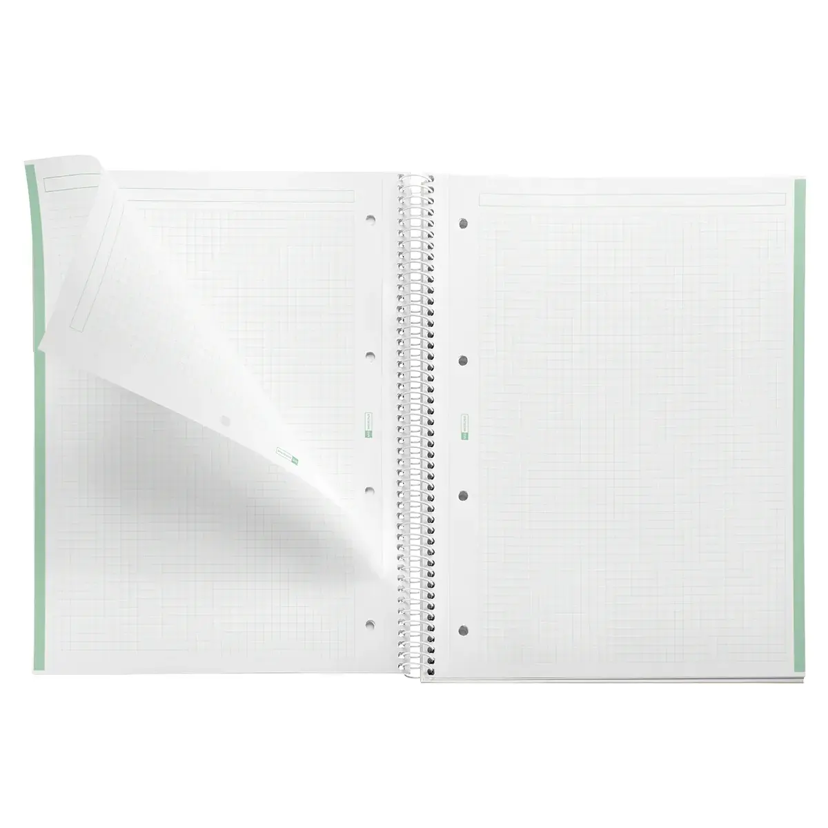 Bloc note Notebook A4 Emotion 80F Quadrillé 5x5 90g - Menthe - Blocs notes, Cahiers-2