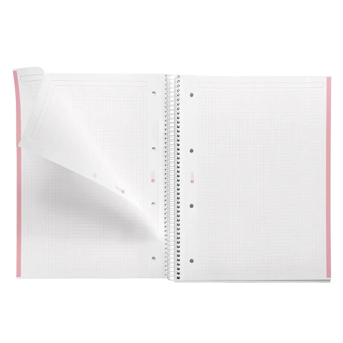 Bloc note Notebook A4 Emotion 80F Quadrillé 5x5 Couverture Polypro - Corail - Blocs notes, Cahiers-2