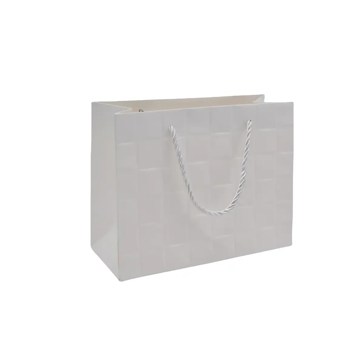 Sacs pelliculés blancs embossés tressés poignées cordelette 23+10x18cm 210g/m² - Paquet de 20 - Sacs pelliculés à motifs