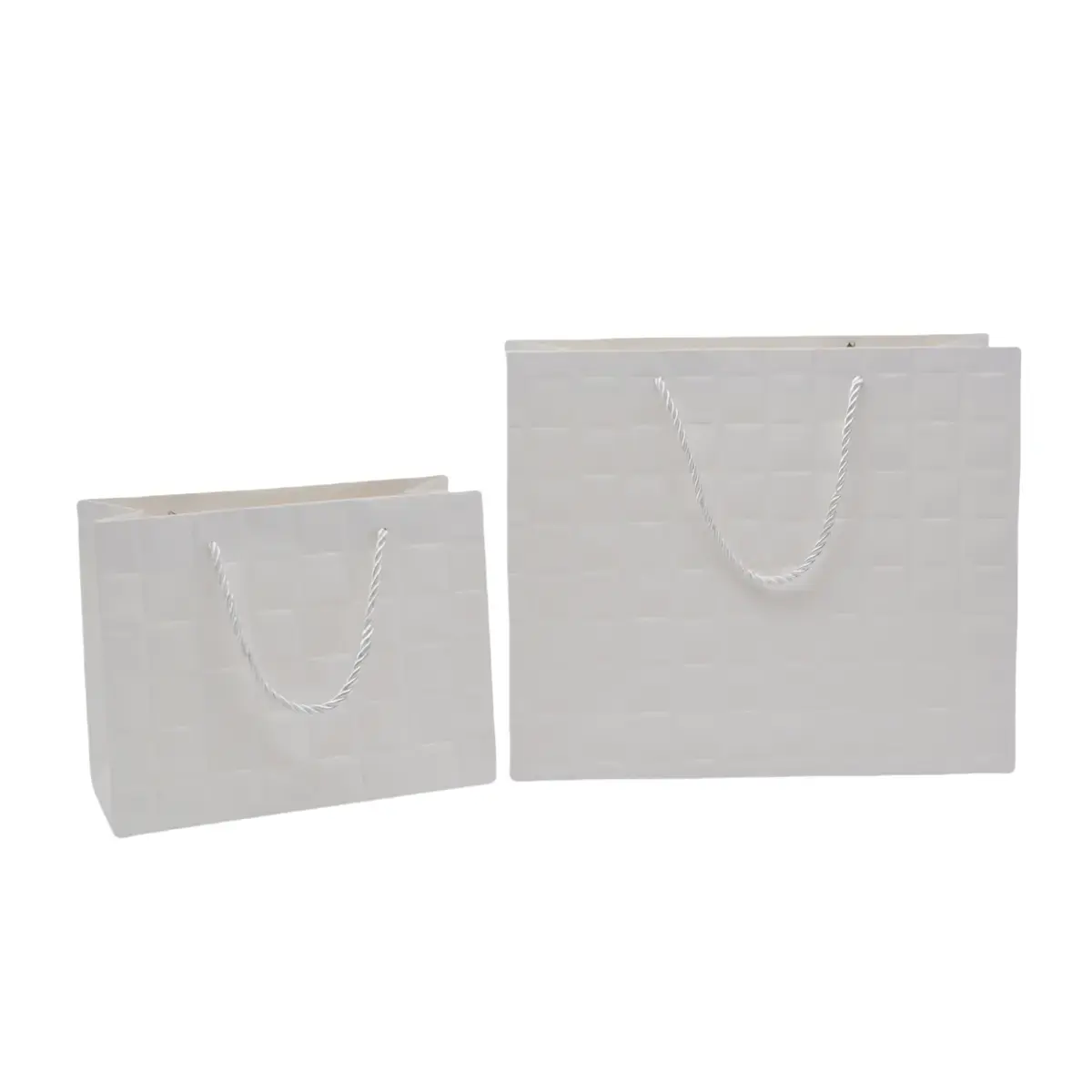 Sacs pelliculés blancs embossés tressés poignées cordelette 23+10x18cm 210g/m² - Paquet de 20 - Sacs pelliculés à motifs-2