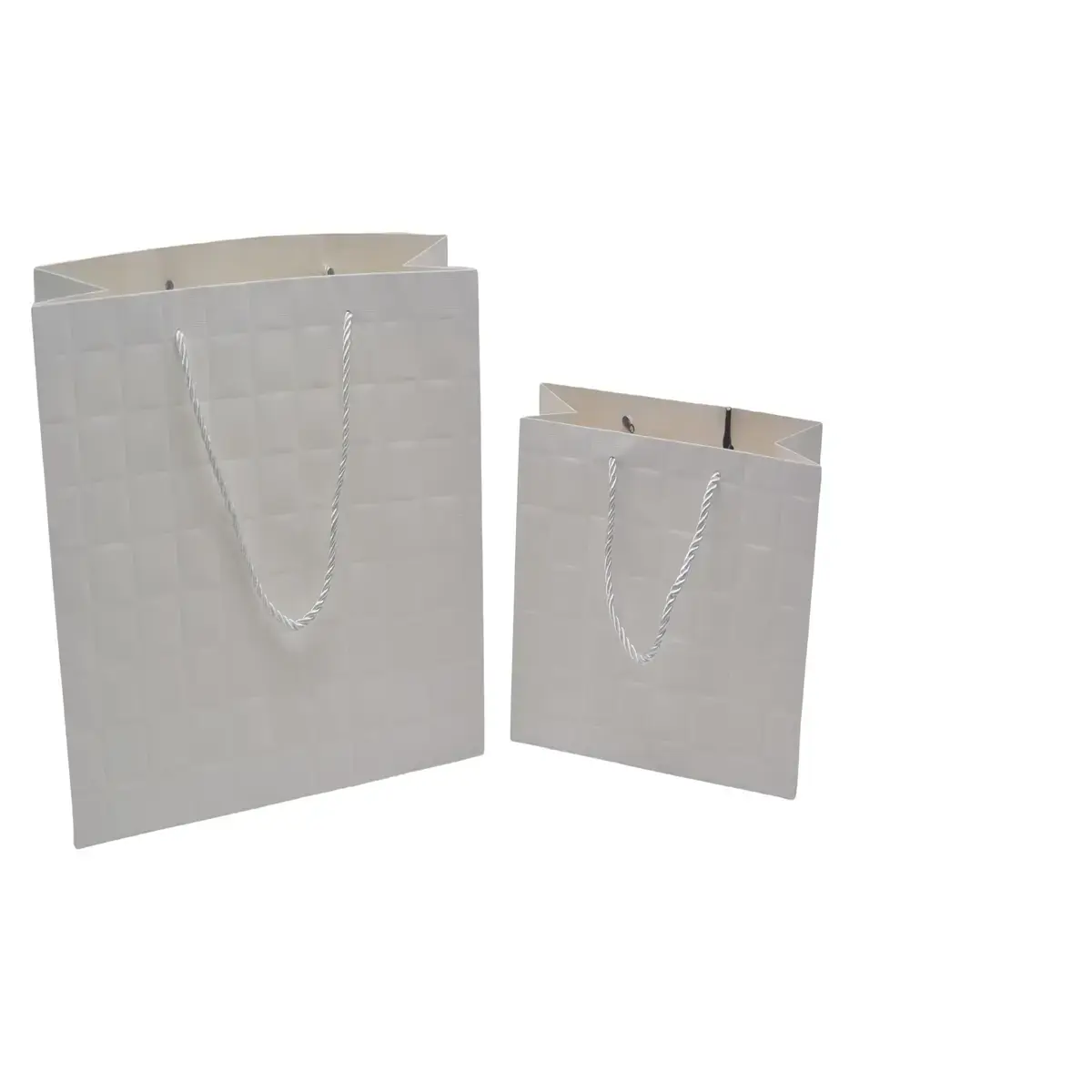 Sacs pelliculés blancs embossés tressés poignées cordelette 23+10x18cm 210g/m² - Paquet de 20 - Sacs pelliculés à motifs-4