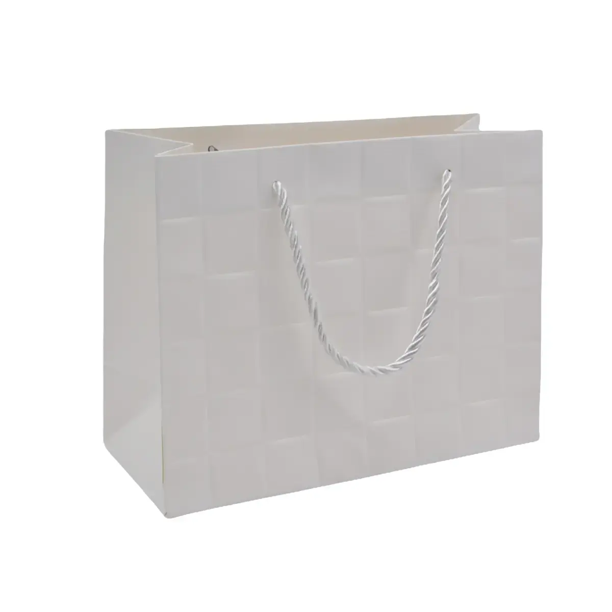Sacs pelliculés blancs embossés tressés poignées cordelette 31+12x26 cm 210g/m² – Paquet de 20 - Sacs pelliculés à motifs