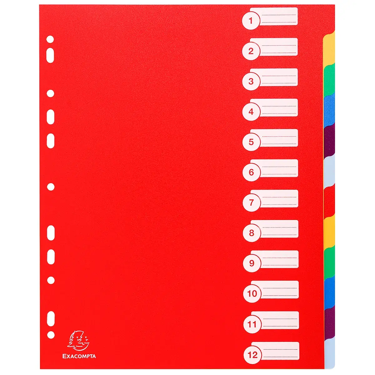 Intercalaires A4 maxi 12 positions Onglets inscriptibles Polypropylène Opaque Semi-Rigide - Exacompta - Intercalaires classeur, Trieurs documents