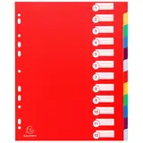 Intercalaires A4 maxi 12 positions Onglets inscriptibles Polypropylène Opaque Semi-Rigide - Exacompta - Intercalaires classeur, Trieurs documents