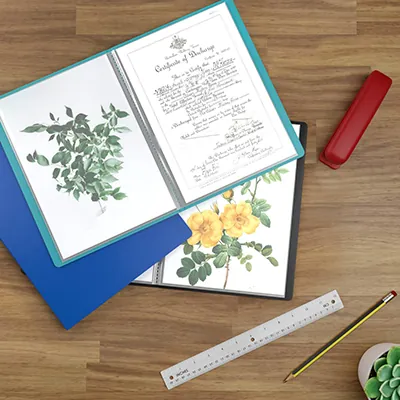 Porte-vues A4 60 vues – Protège-documents 30 pochettes souple - Vert - Protèges-documents, Porte-vues-3