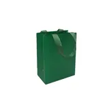 Sac papier vert gaufré poignées ruban 11,5x7x15,5cm 250g/m², paquet de 20 - Sacs pelliculés unis, poignées ruban
