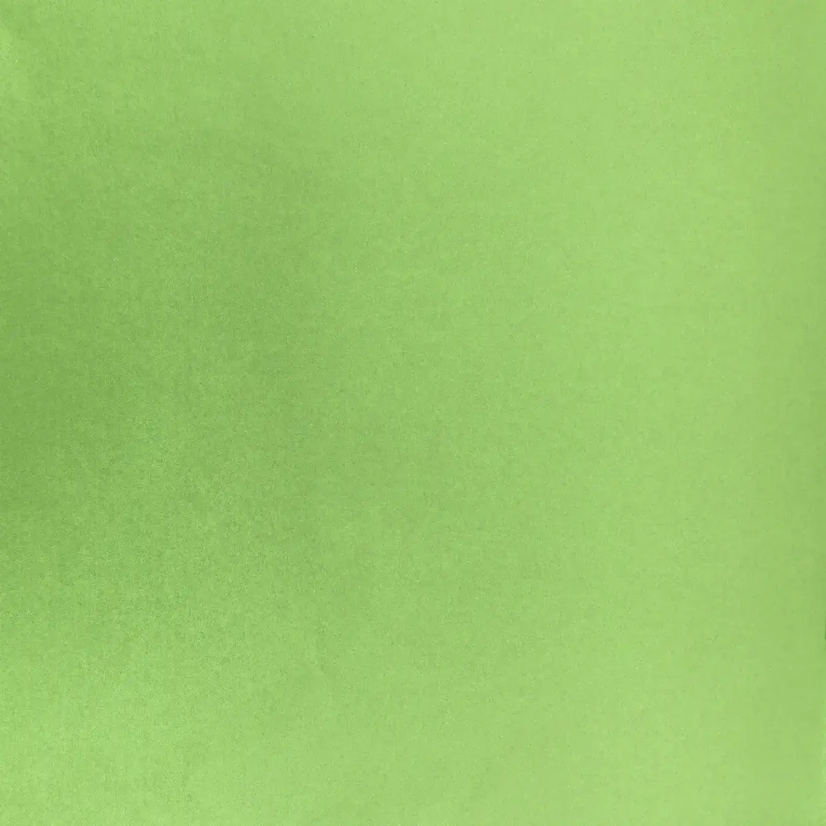Papier de soie vert anis 17g/m² 50 x 75 cm, 240 feuilles - Papiers de soie-2