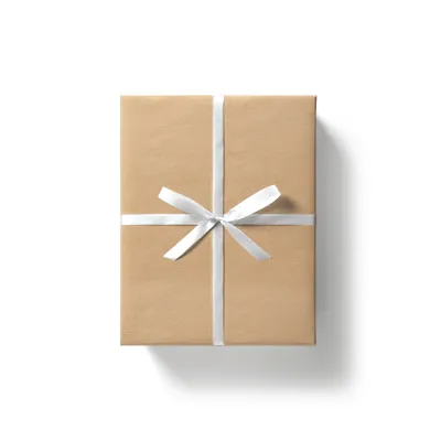 Papier cadeau kraft vergé brun uni 50 cm x 100 m 60 g/m² – le rouleau - Papiers cadeaux kraft, Papiers cadeaux unis-3
