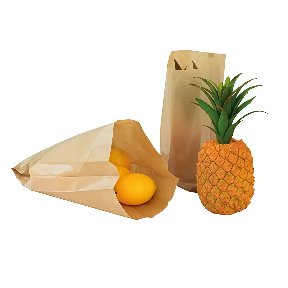 Sac fruits et légumes kraft brun 2kg 20 x 6 x 36 cm - Sac papier primeur - Lot de 1000 - Sacs fruits et légumes-2