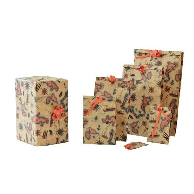 Papier cadeau Transat - 70 cm x 250 m - Papiers cadeaux kraft à motifs-4
