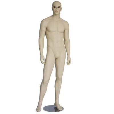 Mannequin homme, sans perruque - Mannequins hommes