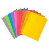 Sous-chemise 22x31cm 80g Rock's 80 Exacompta - 10 couleurs vives - Paquet de 100 - Chemises à élastique, Chemises dossier