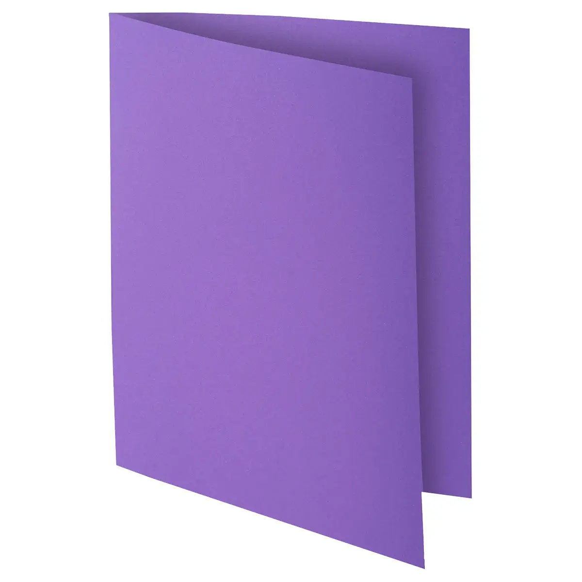 Sous-chemise 22x31cm 80g Rock's 80 Exacompta - 10 couleurs vives - Paquet de 100 - Chemises à élastique, Chemises dossier-4