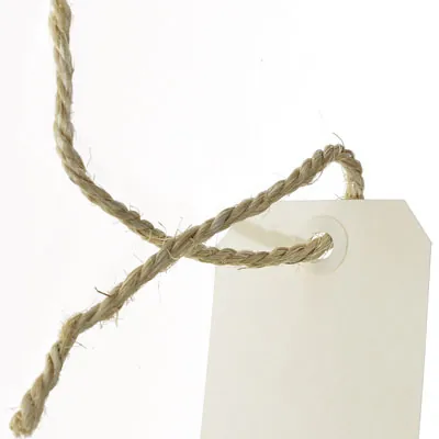 Étiquette américaine 120 x 57 mm Apli – Crème - Boîte de 1000 - Étiquettes à trou-4