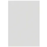 Plaque plastique pour stop-trottoirs - Transparent - 122,8  x 88 cm - Cadres clic clac, Cadres de porte