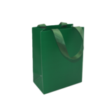 Sac papier vert gaufré poignées ruban L.18 x P.10 x H.23cm 250g/m² - Paquet de 20 - Sacs pelliculés unis, poignées ruban