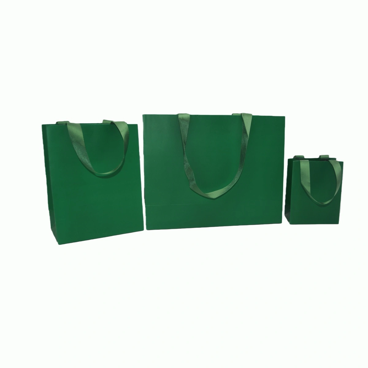Sac papier vert gaufré poignées ruban L.18 x P.10 x H.23cm 250g/m² - Paquet de 20 - Sacs pelliculés unis, poignées ruban-2